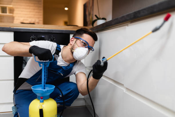 Best Flea Control Services  in Tigerville, SC