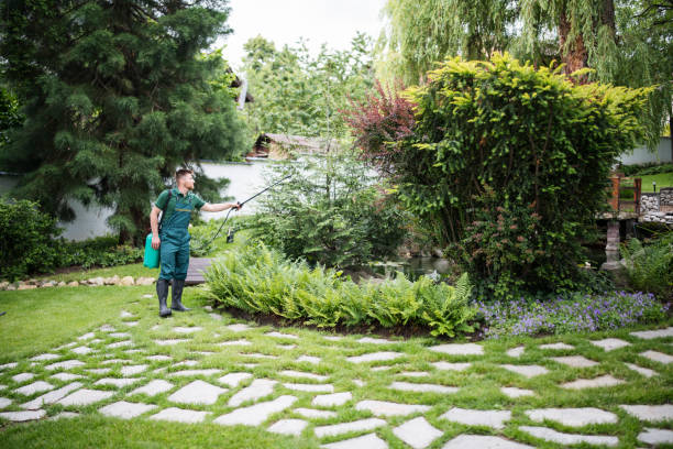 Best Best Pest Control Companies  in Tigerville, SC