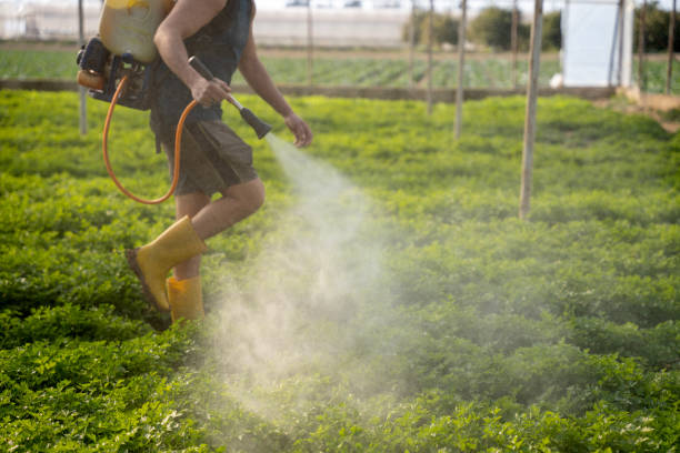 Best Local Pest Control Services  in Tigerville, SC
