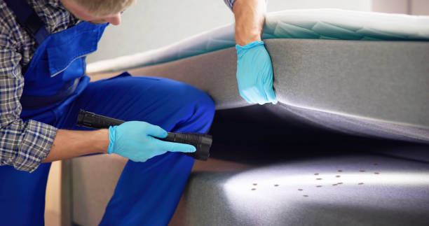 Best Cockroach Control Services  in Tigerville, SC