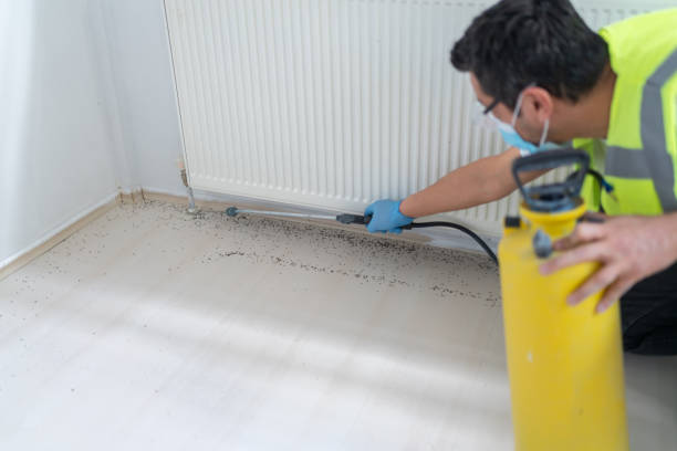 Best Local Pest Control Services  in Tigerville, SC