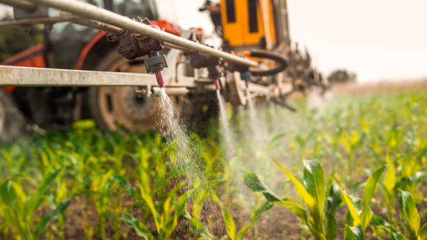 Reliable Tigerville, SC Pest Control Solutions